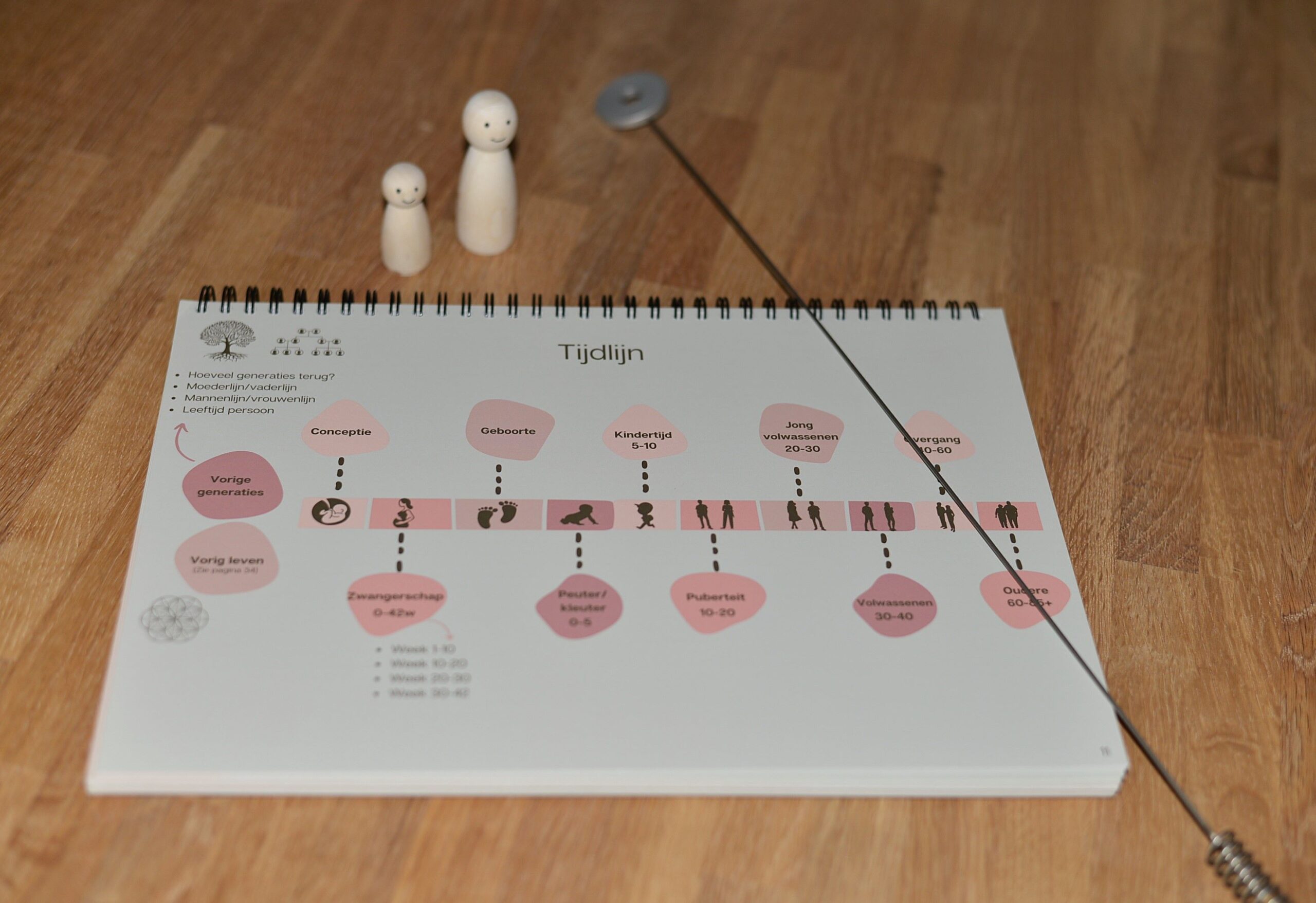 NEI therapie, biotensor en werkmodel tijdlijn gebruikt om te bepalen waar de vastgezette emoties vandaan komen.